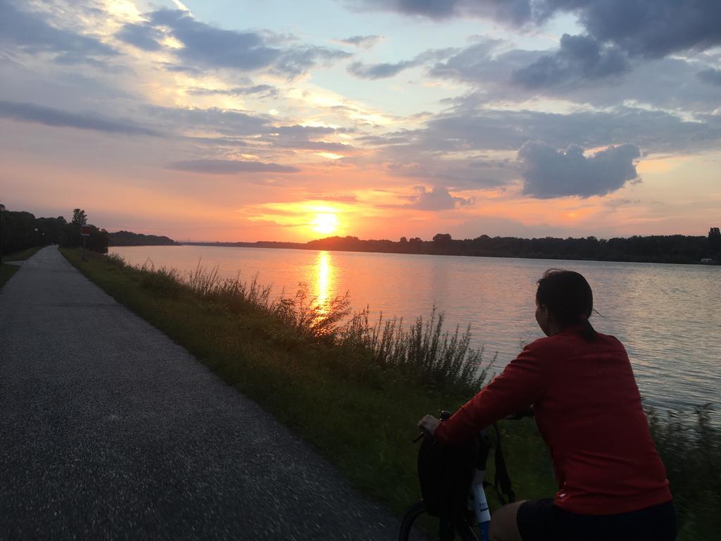 Donaupark Camping Tulln Tulln An Der Donau Exteriér fotografie