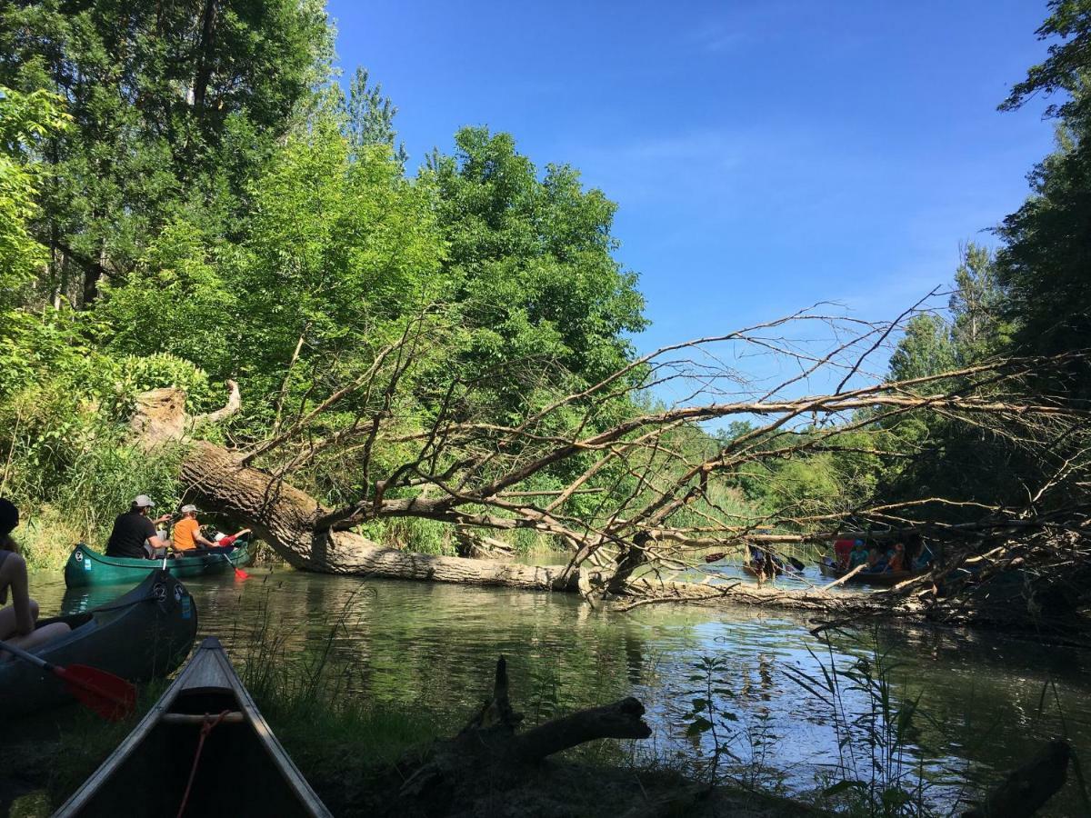 Donaupark Camping Tulln Tulln An Der Donau Exteriér fotografie
