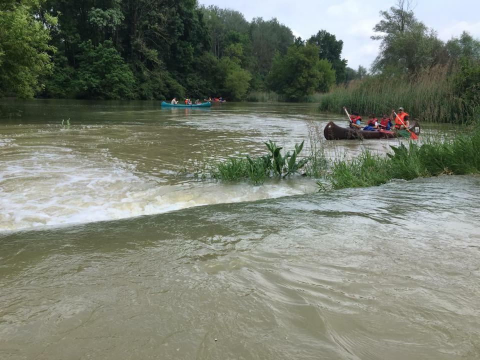 Donaupark Camping Tulln Tulln An Der Donau Exteriér fotografie